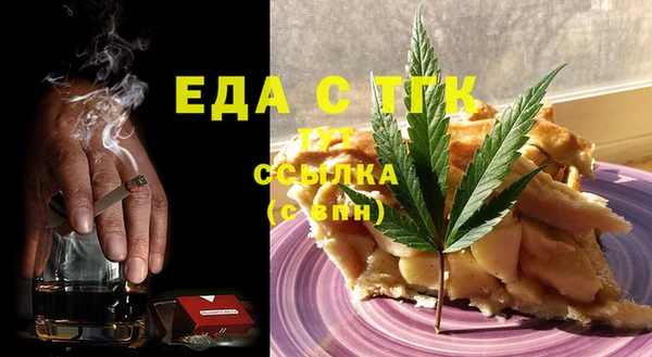 индика Вязьма